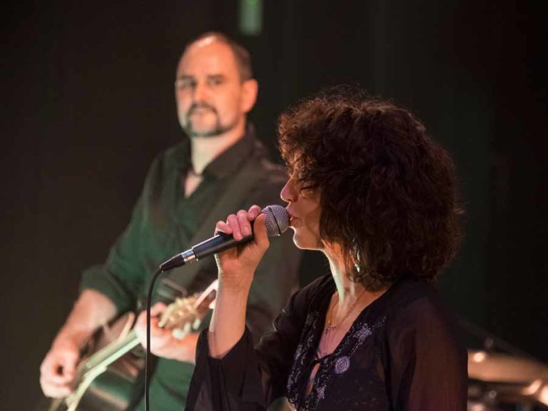 Sylvain Gabriel Concert Pôle Culturel Jean Ferrat Capital Tour 16-02-2019